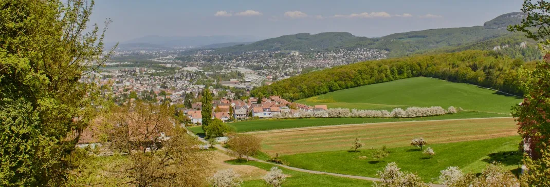 Felder in der Umgebung bei Lörrach.